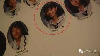 天涯网爆料明星八卦最新,天涯爆料最新明星八卦大揭秘  第1张