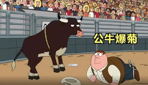 公牛之家在线观看,热血竞技,梦想翱翔 第1张 公牛之家在线观看,热血竞技,梦想翱翔 第1张